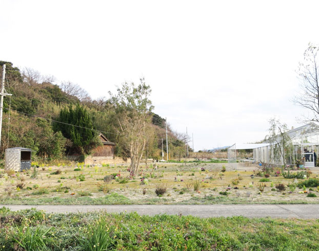 犬島くらしの植物園